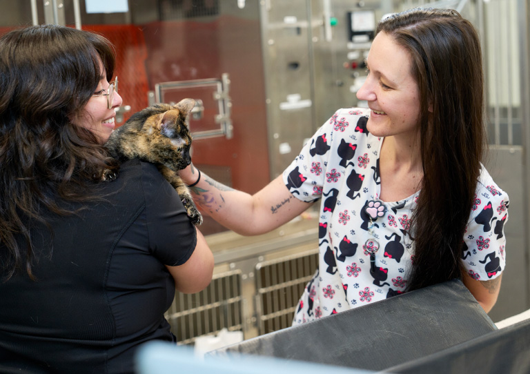Two vet techs at Bay Beach Veterinary Hospital smiling at cat
