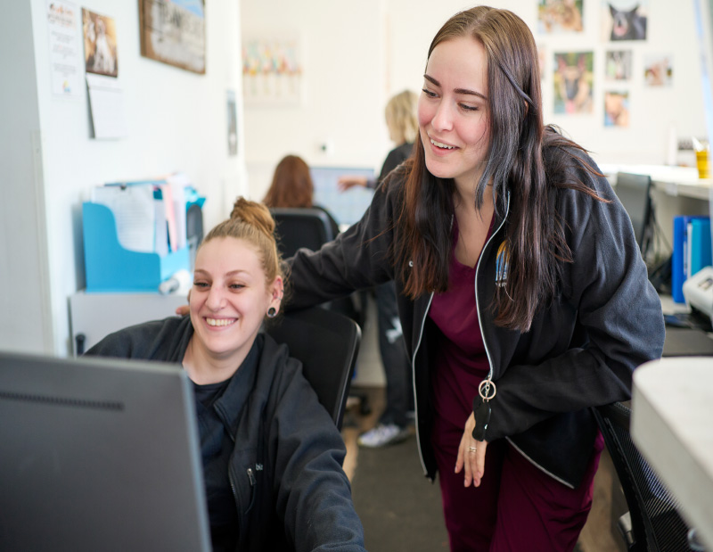 Two team members at Bay Beach Veterinary Hospital smiling looking at computer