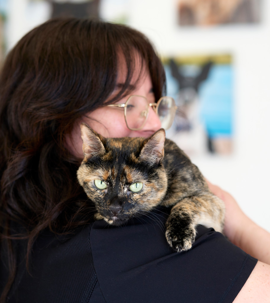 Vet tech holding a calico cat